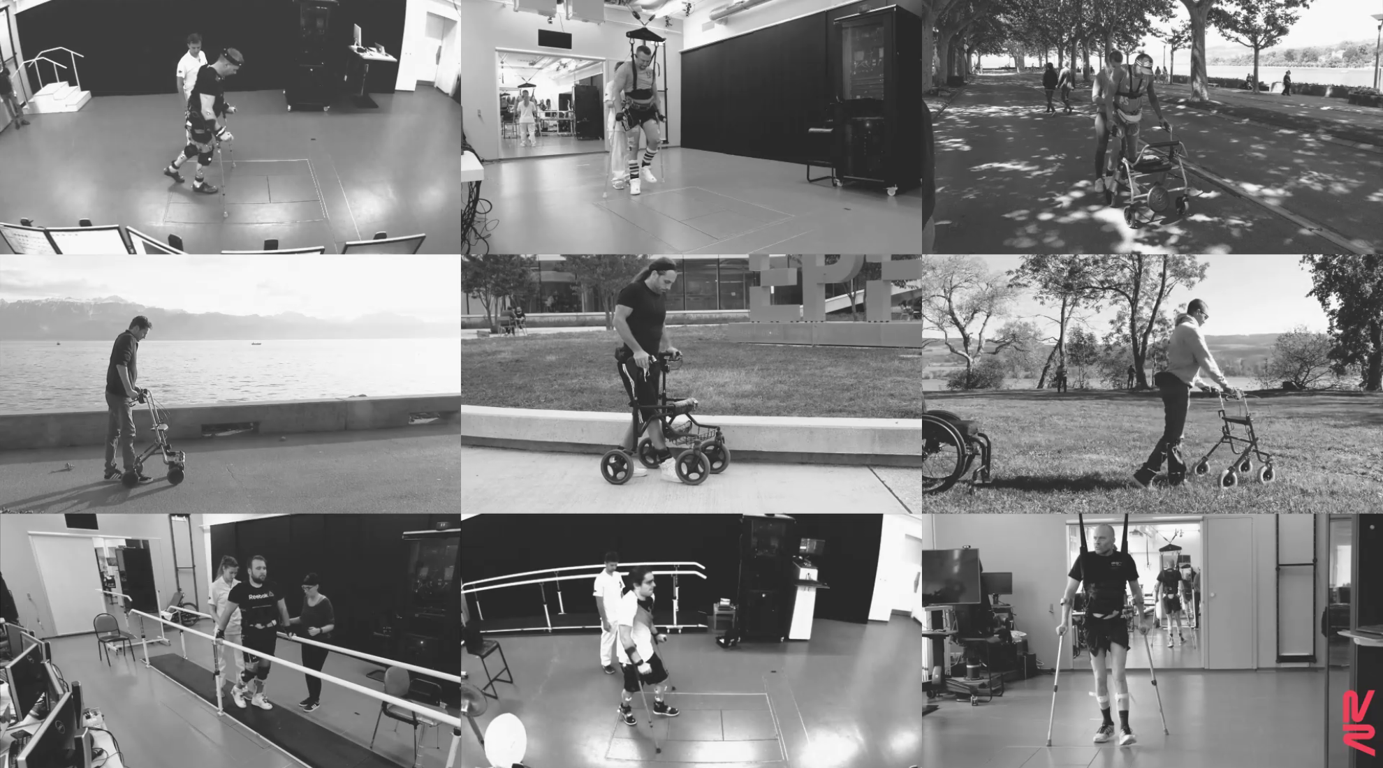 Neurons to help walking again