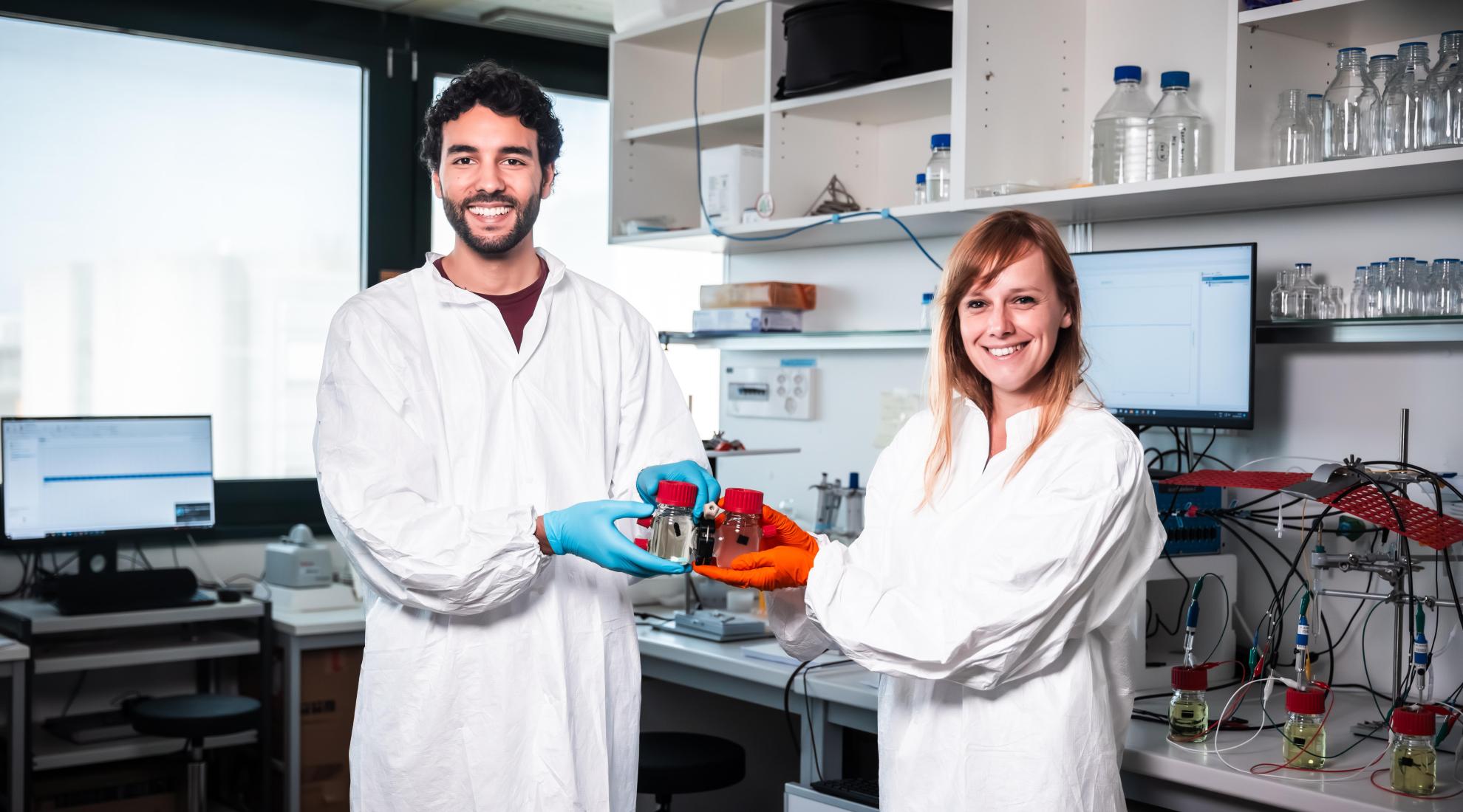 Generating electricity from Coli E.