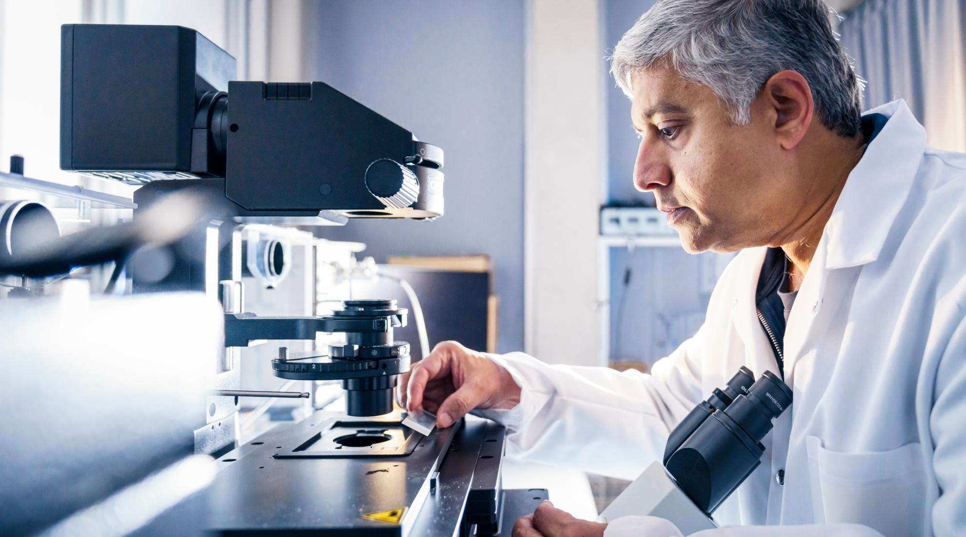 Laboratory wound healing research