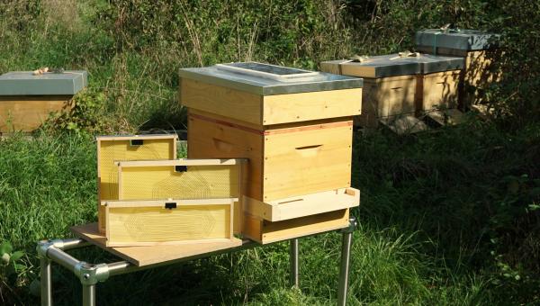 Vatorex special heating system for bee colonies