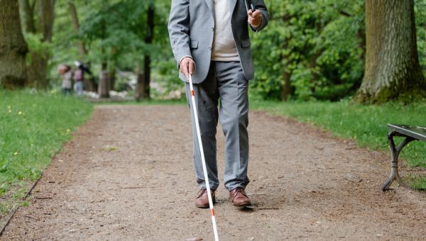 AI copilot for visually impaired people