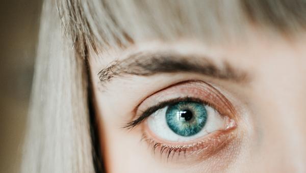 Early brain disease diagnosis