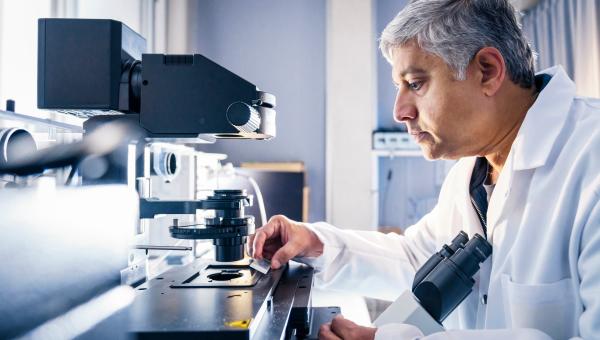 Laboratory wound healing research