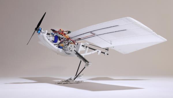 Drone inspired by a bird