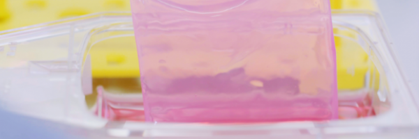 CUTISS AG personalised skin substitute