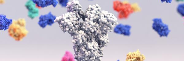 Swiss researchers discover super antibody against COVID-19