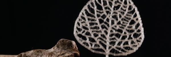 Plastic made from biomass