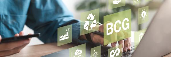 Sustainable corporations