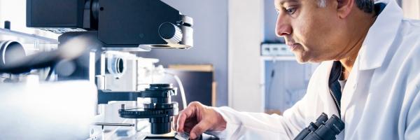 Laboratory wound healing research