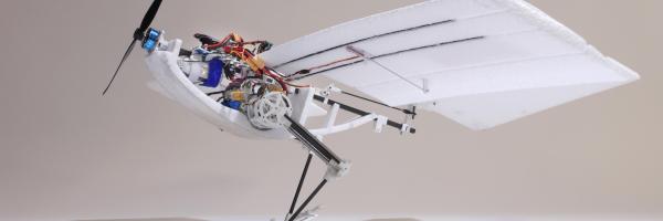 Drone inspired by a bird