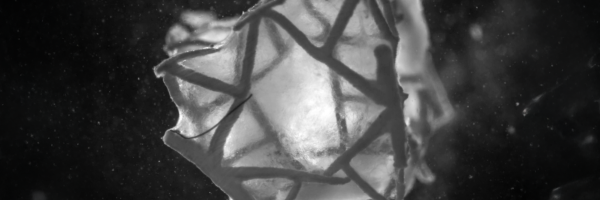 3D-printed cardiac patch engineered to match the mechanical properties of the heart (Image: Soft Robotics Laboratory / ETH Zurich)